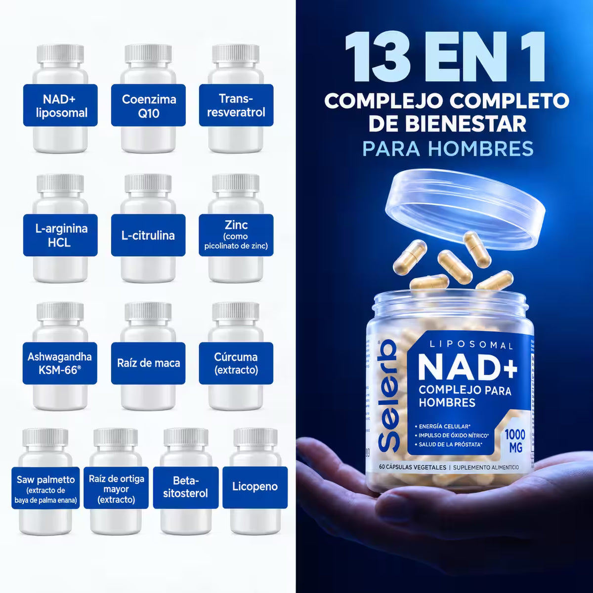 Selerb ®- complejo de NAD+ para hombres